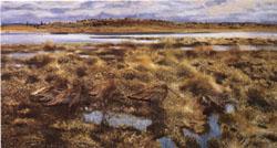 Bruno Andreas Liljefors The Curlews Sweden oil painting art